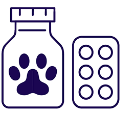 Prescription home delivery platform illustration